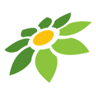 SAKURA88